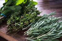 Ervas Aromáticas